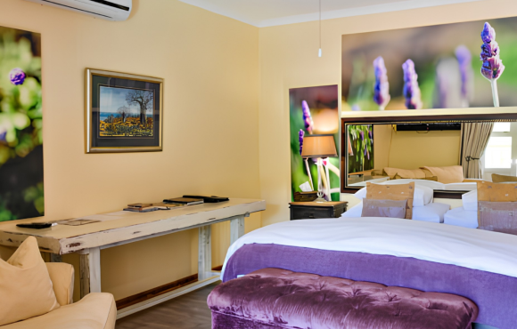 Lavender Suite
